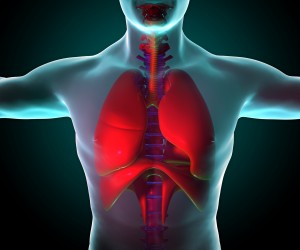 Apparato respiratorio polmoni raggi x
